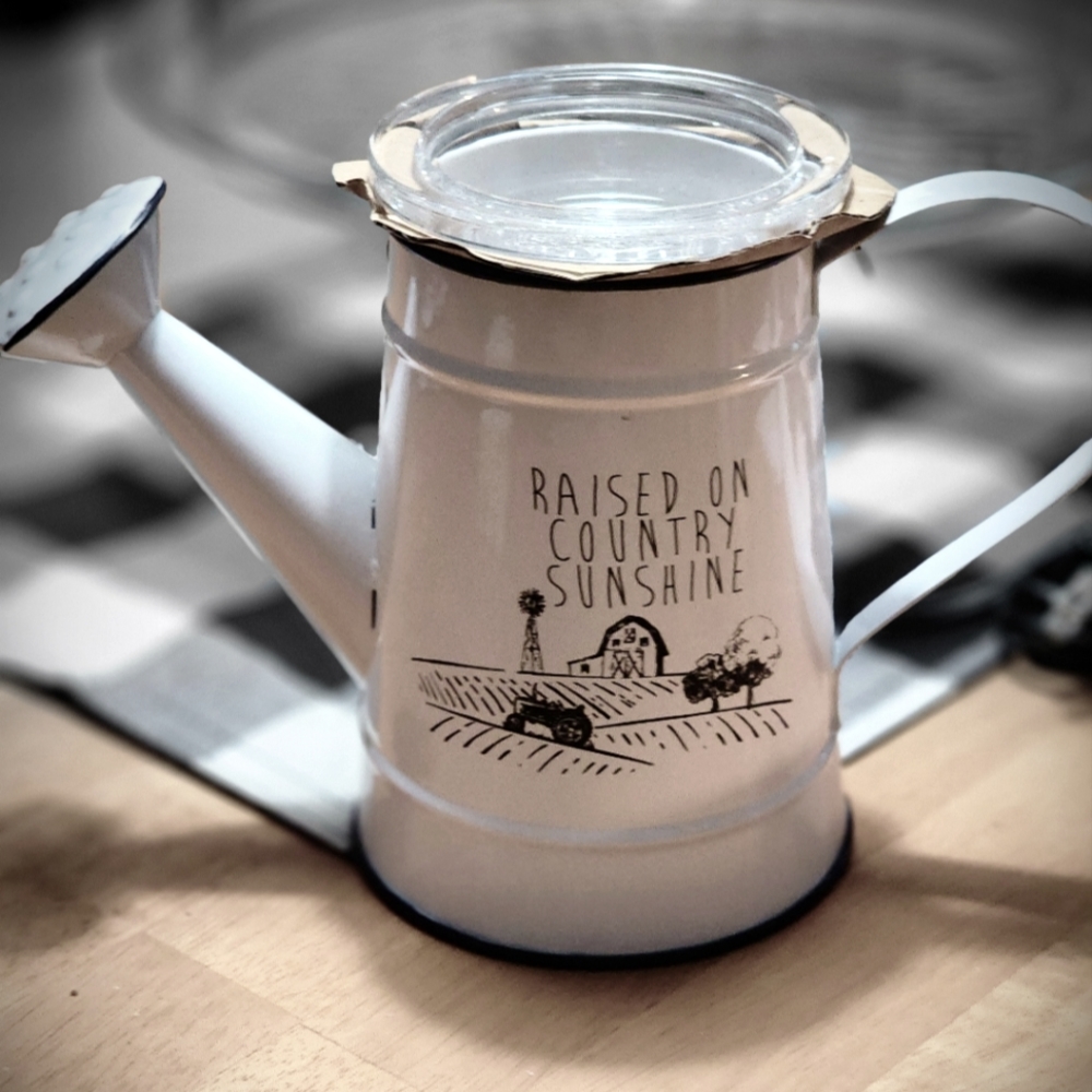 Scentsy Warmer